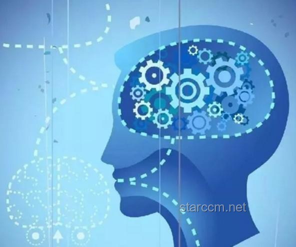 人的大脑会不会出现「过拟合」病？探究大脑学习与记忆的奥秘